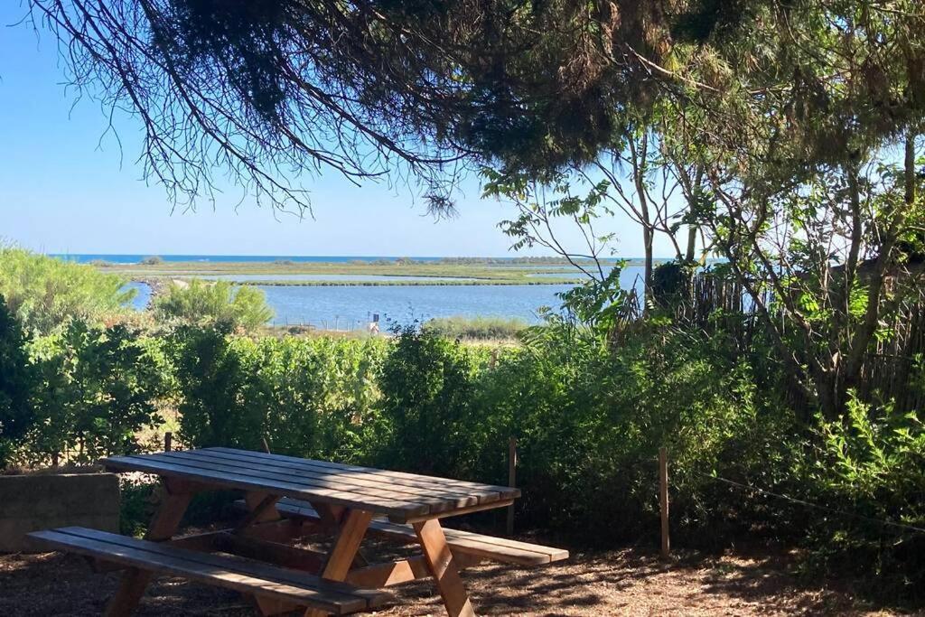 Magnifique Villa Avec Piscine Villeneuve-lès-Maguelonne Exterior foto